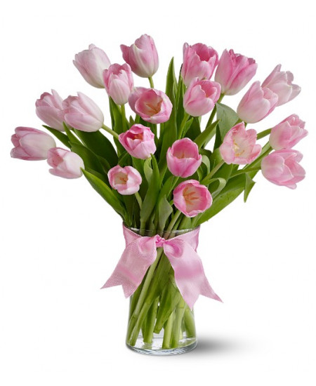 Букет из 19-ти розовых тюльпанов высшего сорта
