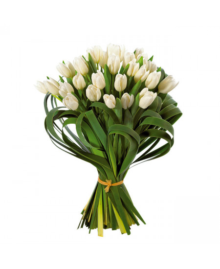 Букет из 29-ти белых тюльпанов в обрамлении зелени