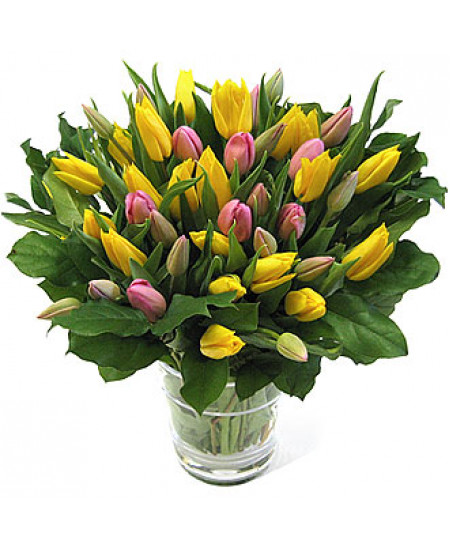 Букет из 39-ти тюльпанов двух цветов высшего сорта с зеленью