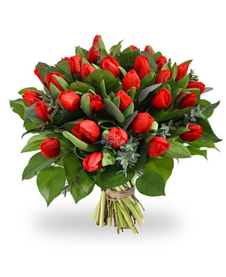 Букет из 25-ти красных тюльпанов высшего сорта с зеленью